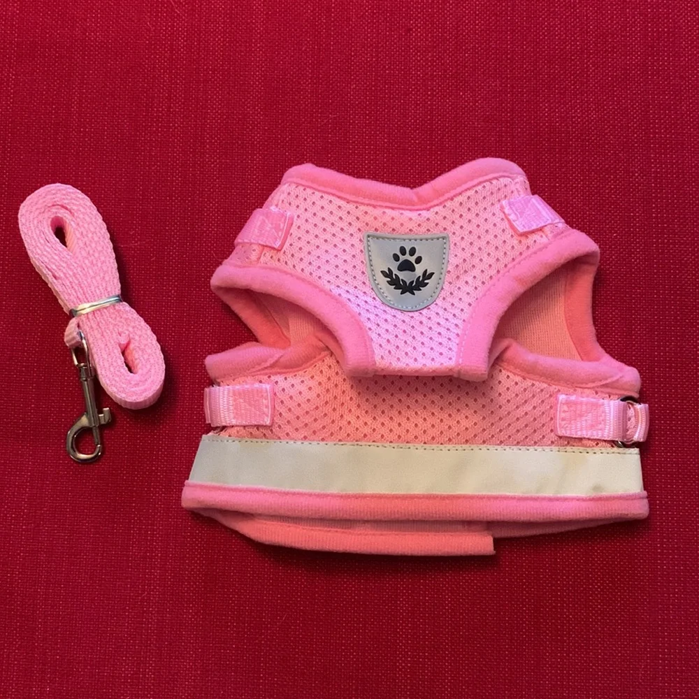 Cat or small animal pink mesh outdoor harness with leash.